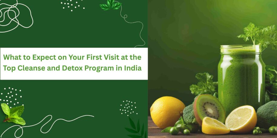 Top Cleanse and Detox Program in India