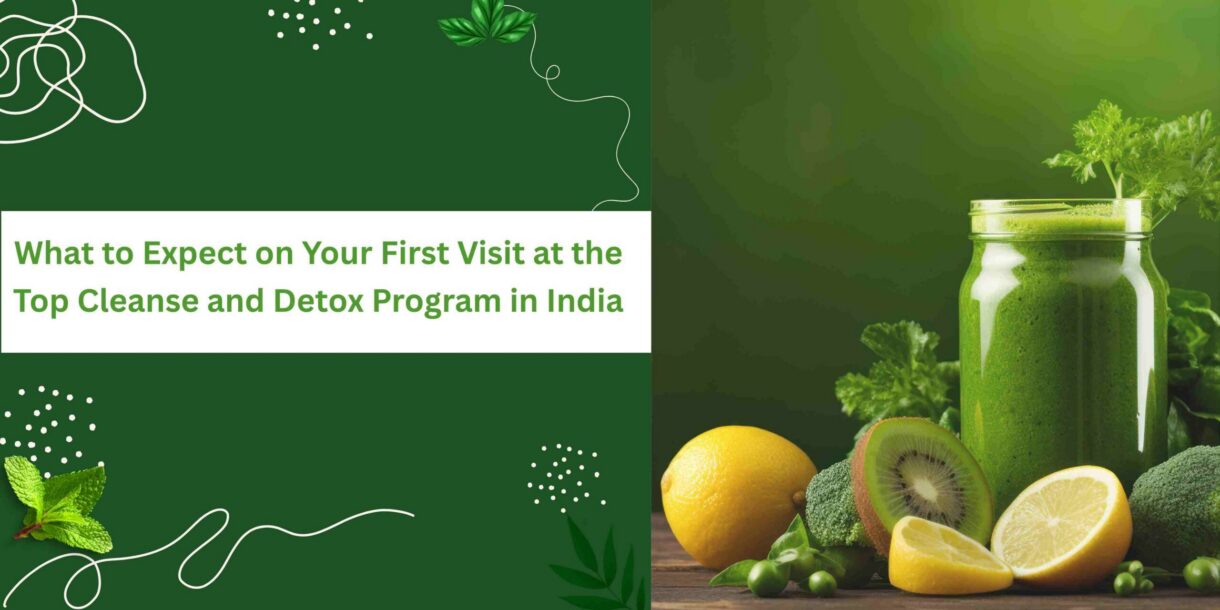 Top Cleanse and Detox Program in India