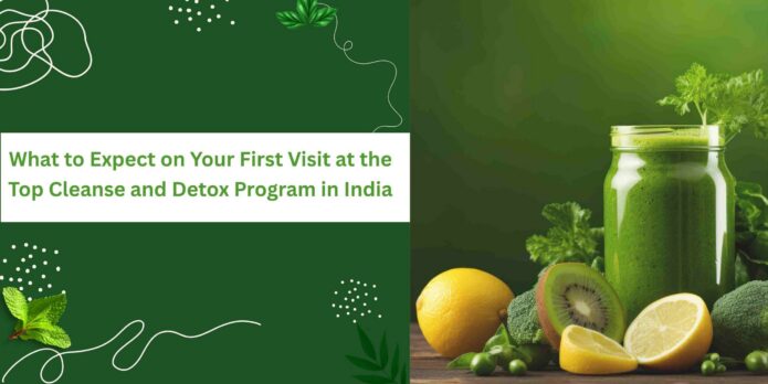 Top Cleanse and Detox Program in India