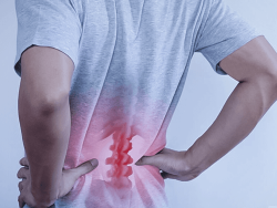 Joint-Spine